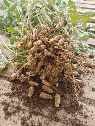 문서연님의 자유주제 · 자유게시판 작성글 사진