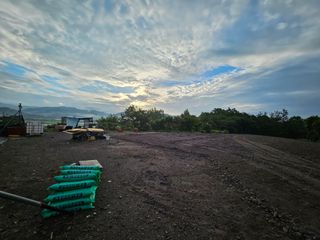 박현주님의 배추 · 토양준비 작성글 사진