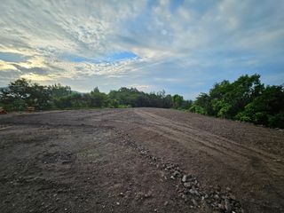 박현주님의 배추 · 토양준비 작성글 사진