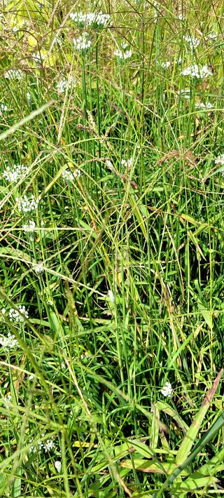 행복농장님의 자유주제 · 자유게시판 작성글 사진