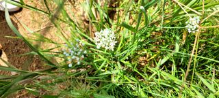 행복농장님의 자유주제 · 자유게시판 작성글 사진