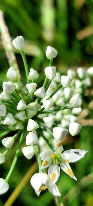 행복농장님의 자유주제 · 자유게시판 작성글 사진