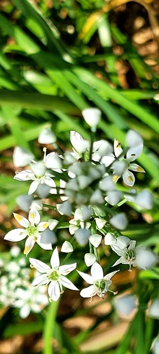 행복농장님의 자유주제 · 자유게시판 작성글 사진