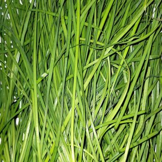 행복농장님의 자유주제 · 자유게시판 작성글 사진