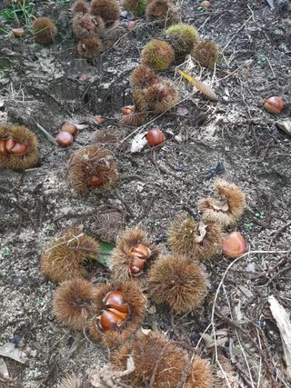 그린1505님의 기타작물 · 자유게시판 작성글 사진