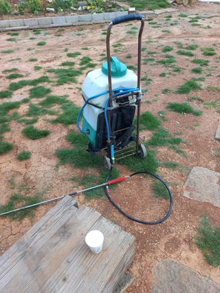 유기농으로키우자님의 자유주제 · 자유게시판 작성글 사진