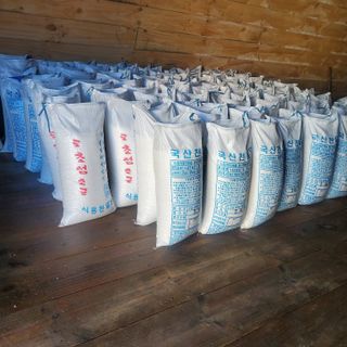 김나영 님의 작성글 사진