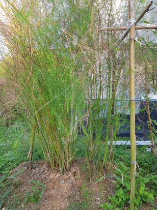 함평초보농민김지선님의 9월 내 작물 자랑하기 · 참여글 작성글 사진