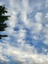 팜모닝 9월 내 작물 자랑하기·참여글 게시글 이미지