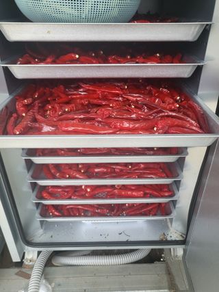 김현정님의 고추 · 시세•판로 작성글 사진