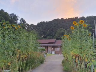 이종범님의 9월 내 작물 자랑하기 · 참여글 작성글 사진