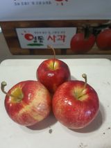 팜모닝 사과·일상 게시글 이미지