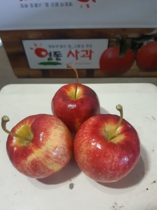 임태록(슬송아농원)님의 사과 · 일상 작성글 사진