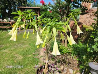 이훈정(시몬)님의 기타작물 · 영농일지 작성글 사진