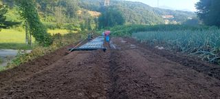 노고산농부님의 자유주제 · 자유게시판 작성글 사진