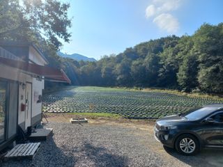 혜향님의 배추 · 일상 작성글 사진