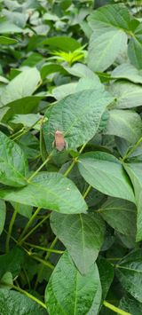 팜모닝 9월 내 작물 자랑하기·참여글 게시글 이미지