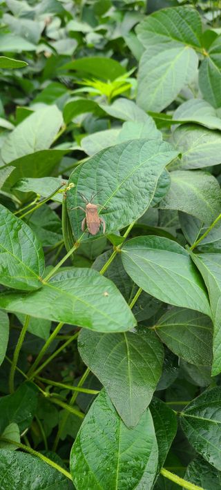 힐스님의 9월 내 작물 자랑하기 · 참여글 작성글 사진