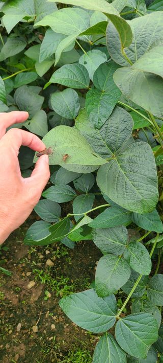 힐스님의 9월 내 작물 자랑하기 · 참여글 작성글 사진