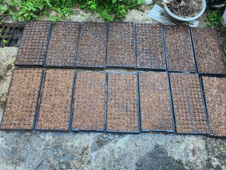 김영복 19146님의 9월 내 작물 자랑하기 · 참여글 작성글 사진