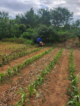 김영복 19146님의 9월 내 작물 자랑하기 · 참여글 작성글 사진