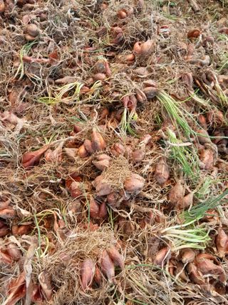 정상훈님의 자유주제 · 건의해요 작성글 사진