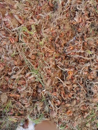 정상훈님의 자유주제 · 건의해요 작성글 사진