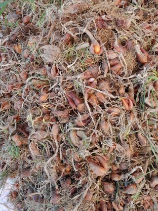 정상훈님의 자유주제 · 건의해요 작성글 사진