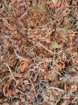 정상훈님의 자유주제 · 건의해요 작성글 사진