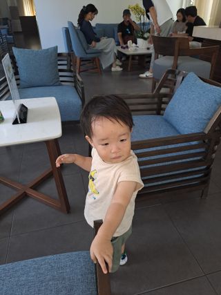 강정희님의 고추 · 수확 작성글 사진