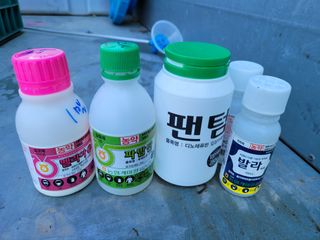 윤채열님의 고추 · 영농일지 작성글 사진