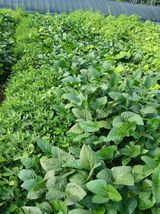 팜모닝 자유주제·자유게시판 게시글 이미지