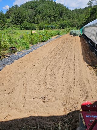 김성진님의 마늘 · 영농일지 작성글 사진