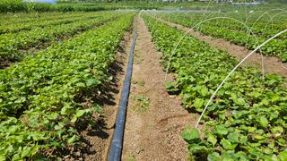 조병대님의 기타작물 · 자유게시판 작성글 사진