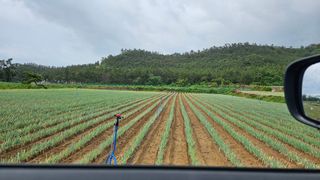 김은아SM님의 파 · 영농일지 작성글 사진