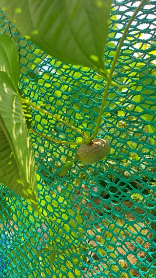 김호연님의 자유주제 · 자유게시판 작성글 사진