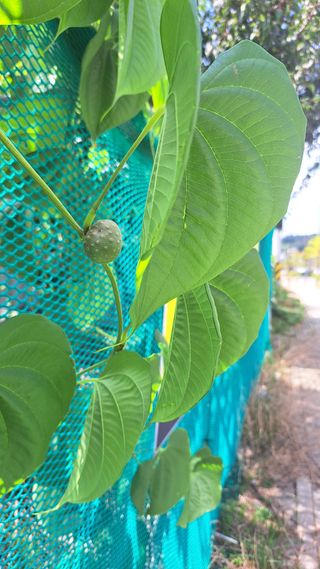 김호연님의 자유주제 · 자유게시판 작성글 사진