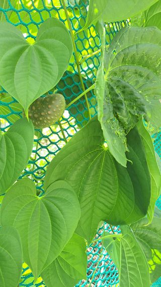 김호연님의 자유주제 · 자유게시판 작성글 사진