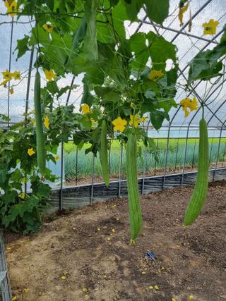 이명숙님의 기타작물 · 자유게시판 작성글 사진