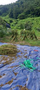 팜모닝 9월 내 작물 자랑하기·참여글 게시글 이미지