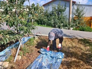 알 수 없음님의 우리동네 · 동네수다 작성글 사진