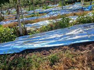 알 수 없음님의 우리동네 · 동네수다 작성글 사진