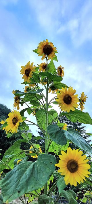 희망농부58님의 자유주제 · 자유게시판 작성글 사진