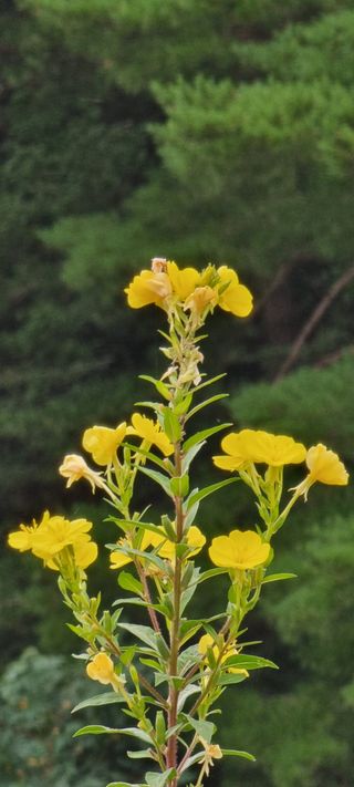 희망농부58님의 자유주제 · 자유게시판 작성글 사진