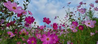 희망농부58님의 자유주제 · 자유게시판 작성글 사진