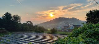 희망농부58님의 자유주제 · 자유게시판 작성글 사진