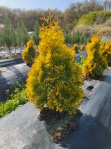 팜모닝 기타작물·자유게시판 게시글 이미지