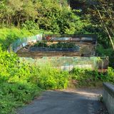 팜모닝 배추·토양준비 게시글 이미지