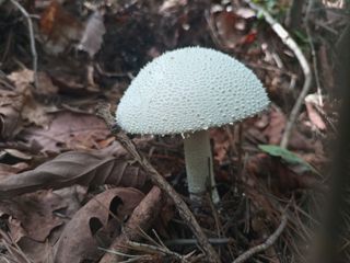 김경수님의 기타작물 · 자유게시판 작성글 사진