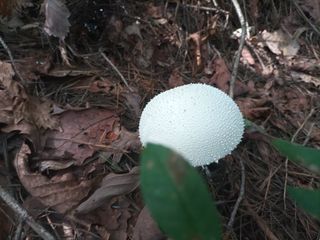 김경수님의 기타작물 · 자유게시판 작성글 사진